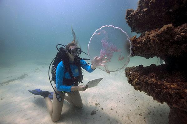 海洋生物学学生带着潜水装备在水下观察当地的水母